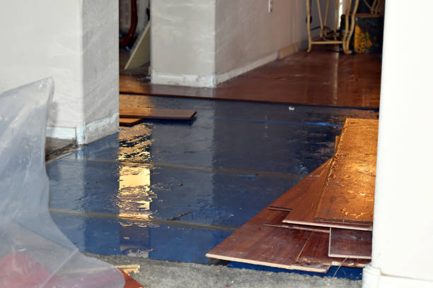 Professional Water Extraction technician working in Davilla, TX